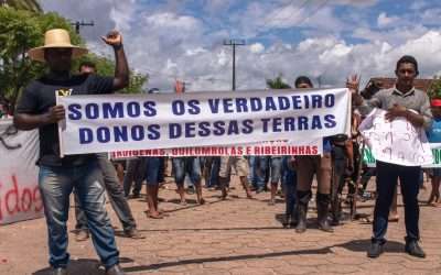 New chapter in conflict with industry that wants to ‘plant’ jet fuel in the Amazon
